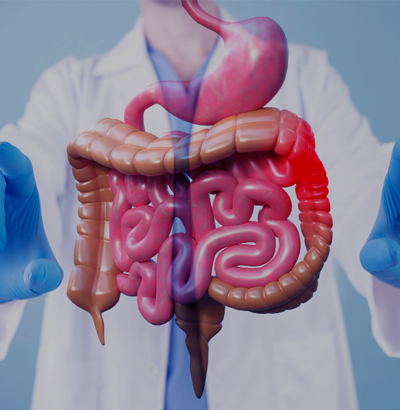 Gastro Surgery Gastro Surgery